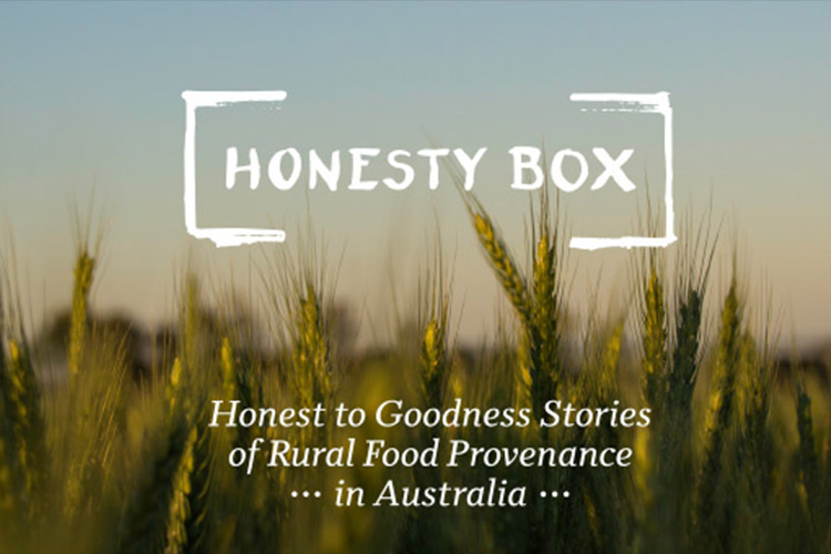 Branding project - Honesty Box Project